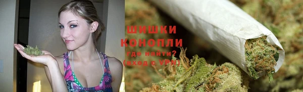 PSILOCYBIN Верея