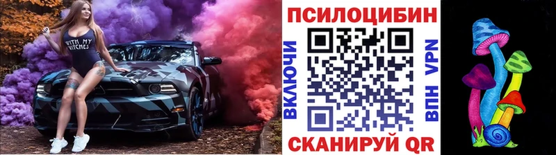 Псилоцибиновые грибы Cubensis Лихославль